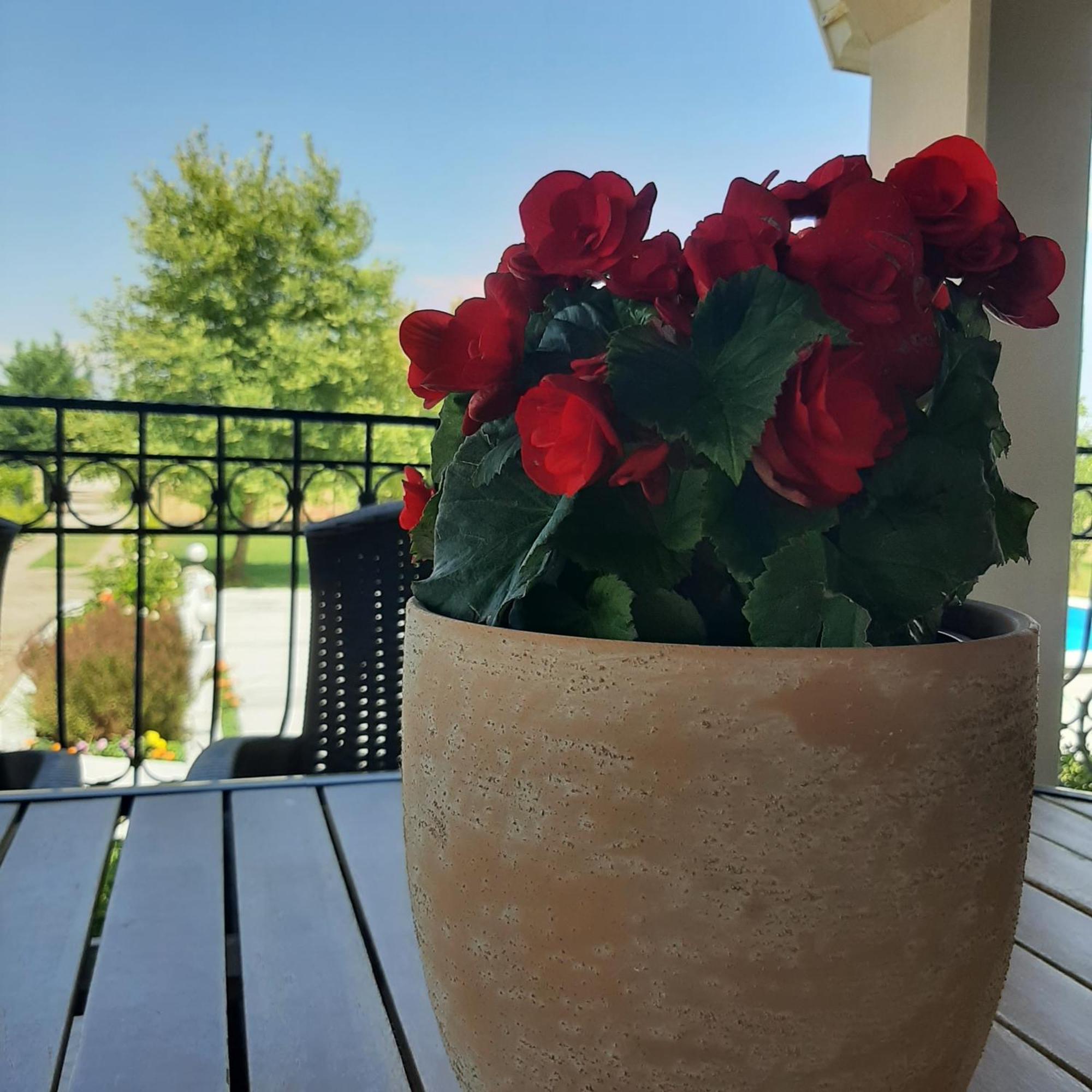 Willa Αρχοντικό Παπανικολάου Ligaria  Zewnętrze zdjęcie
